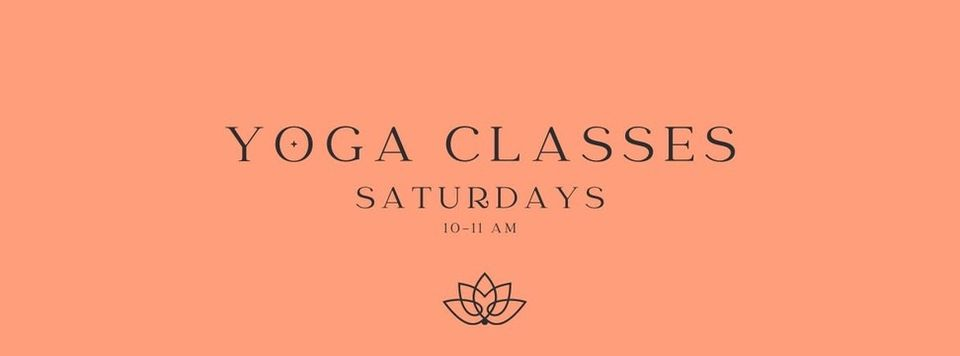 Beginner's Yoga II