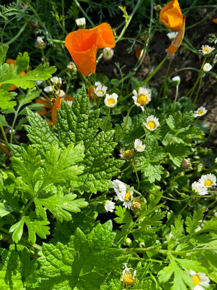 Sensory foraging