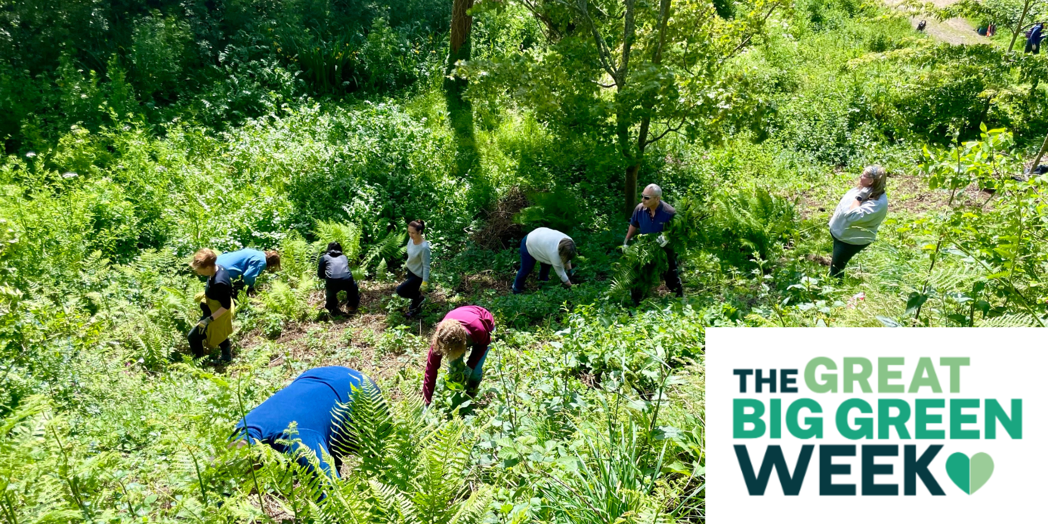 Green Tuesday - Jersey Trees for Life Volunteering (Great Big Green Week)