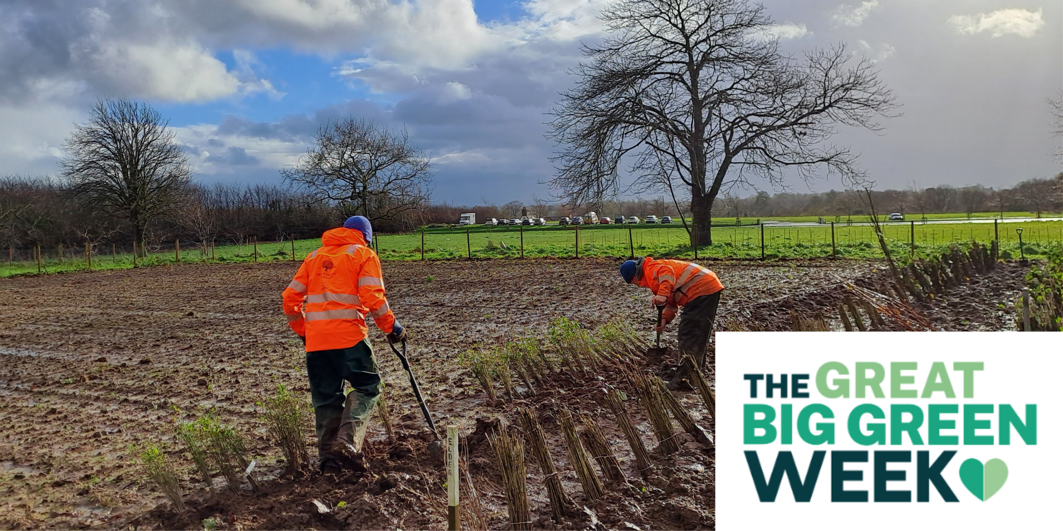 Green Monday - Jersey Trees for Life Volunteering (Great Big Green Week)