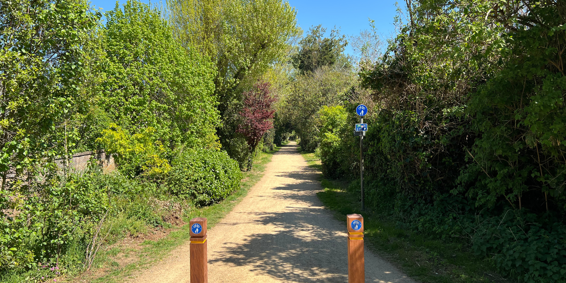 Weed the Walk - Volunteering with Jersey Trees for Life